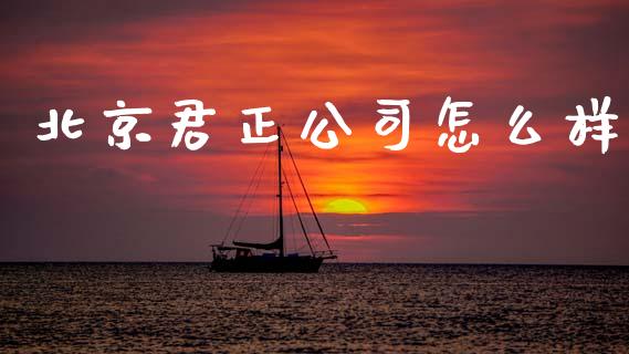 北京君正公司怎么样_https://wap.lxcailiao.com_股权投资_第1张