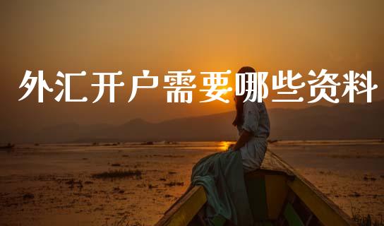 外汇开户需要哪些资料_https://wap.lxcailiao.com_金融监管_第1张
