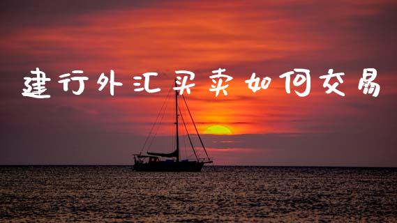 建行外汇买卖如何交易_https://wap.lxcailiao.com_财务管理_第1张