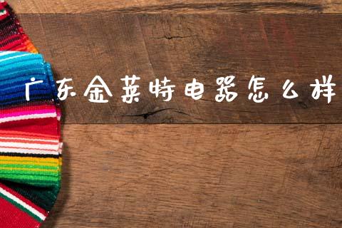 广东金莱特电器怎么样_https://wap.lxcailiao.com_财务管理_第1张