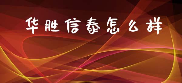 华胜信泰怎么样_https://wap.lxcailiao.com_融资担保_第1张