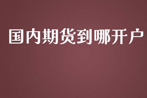 国内期货到哪开户_https://wap.lxcailiao.com_融资担保_第1张