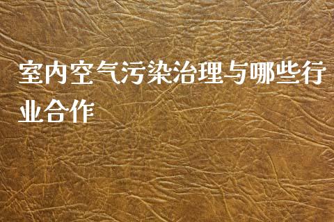 室内空气污染治理与哪些行业合作_https://wap.lxcailiao.com_财务管理_第1张