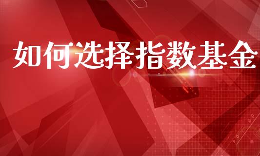 如何选择指数基金_https://wap.lxcailiao.com_财务管理_第1张