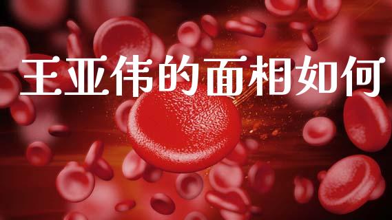 王亚伟的面相如何_https://wap.lxcailiao.com_股权投资_第1张