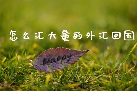 怎么汇大量的外汇回国_https://wap.lxcailiao.com_融资担保_第1张