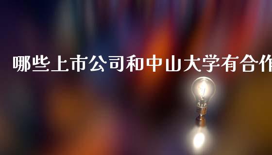 哪些上市公司和中山大学有合作_https://wap.lxcailiao.com_融资担保_第1张