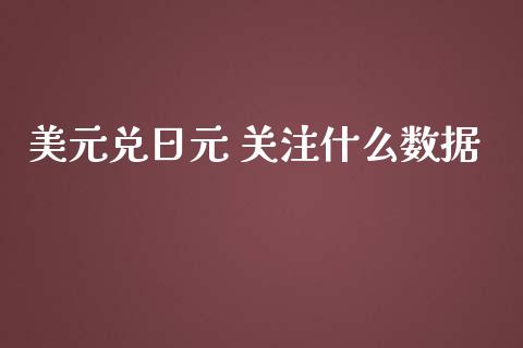 美元兑日元 关注什么数据_https://wap.lxcailiao.com_财务管理_第1张