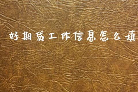 好期贷工作信息怎么填_https://wap.lxcailiao.com_金融监管_第1张