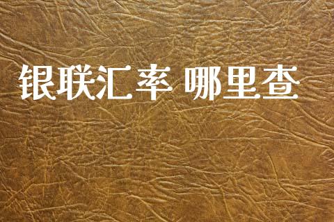 银联汇率 哪里查_https://wap.lxcailiao.com_财务管理_第1张