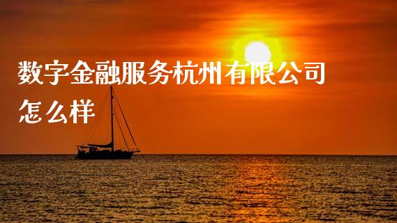 数字金融服务杭州有限公司怎么样_https://wap.lxcailiao.com_融资担保_第1张