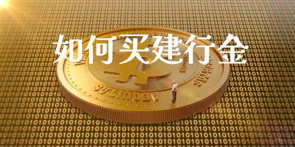 如何买建行金_https://wap.lxcailiao.com_财务管理_第1张