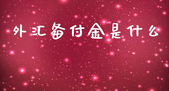 外汇备付金是什么_https://wap.lxcailiao.com_融资担保_第1张