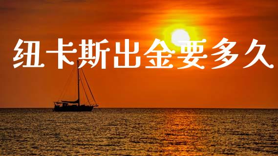 纽卡斯出金要多久_https://wap.lxcailiao.com_财务管理_第1张