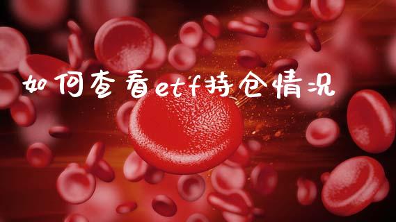 如何查看etf持仓情况_https://wap.lxcailiao.com_融资担保_第1张