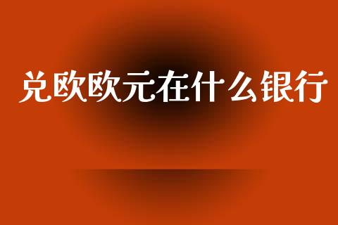 兑欧欧元在什么银行_https://wap.lxcailiao.com_金融监管_第1张