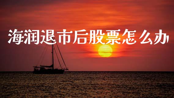 海润退市后股票怎么办_https://wap.lxcailiao.com_财务管理_第1张