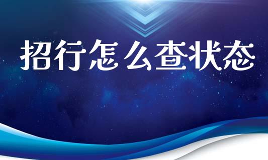 招行怎么查状态_https://wap.lxcailiao.com_财务管理_第1张