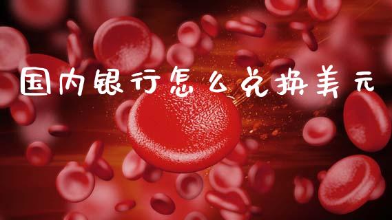 国内银行怎么兑换美元_https://wap.lxcailiao.com_金融监管_第1张