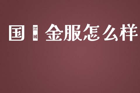 国鑫金服怎么样_https://wap.lxcailiao.com_财务管理_第1张