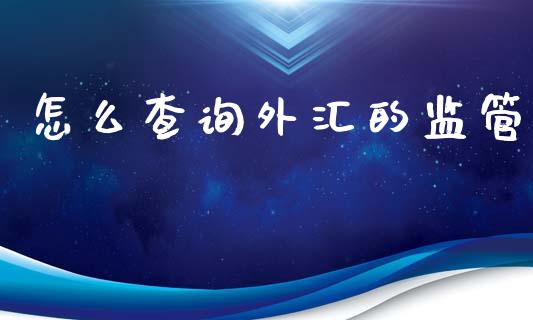 怎么查询外汇的监管_https://wap.lxcailiao.com_融资担保_第1张