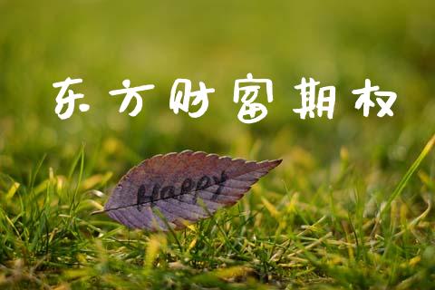 东方财富期权_https://wap.lxcailiao.com_融资担保_第1张