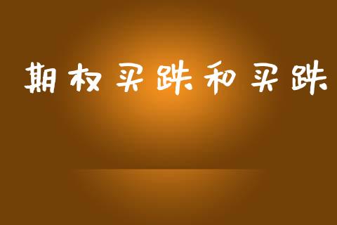 期权买跌和买跌_https://wap.lxcailiao.com_金融监管_第1张