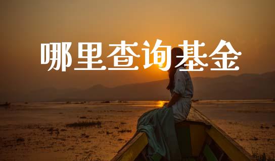 哪里查询基金_https://wap.lxcailiao.com_股权投资_第1张
