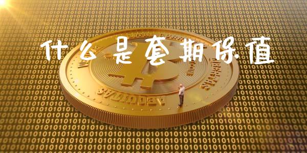 什么是套期保值_https://wap.lxcailiao.com_财务管理_第1张