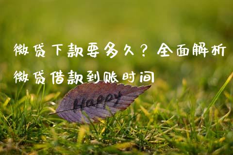 微贷下款要多久？全面解析微贷借款到账时间_https://wap.lxcailiao.com_金融监管_第1张