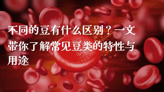 不同的豆有什么区别？一文带你了解常见豆类的特性与用途_https://wap.lxcailiao.com_财务管理_第1张