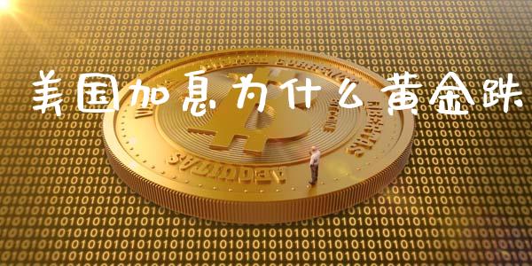 美国加息为什么黄金跌_https://wap.lxcailiao.com_财务管理_第1张
