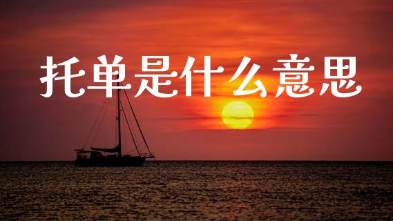 托单是什么意思_https://wap.lxcailiao.com_财务管理_第1张