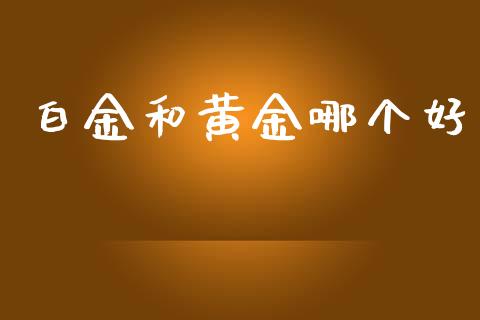 白金和黄金哪个好_https://wap.lxcailiao.com_融资担保_第1张