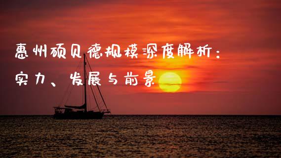 惠州硕贝德规模深度解析：实力、发展与前景_https://wap.lxcailiao.com_财务管理_第1张