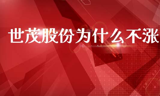 世茂股份为什么不涨_https://wap.lxcailiao.com_股权投资_第1张