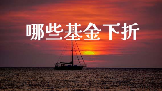 哪些基金下折_https://wap.lxcailiao.com_融资担保_第1张