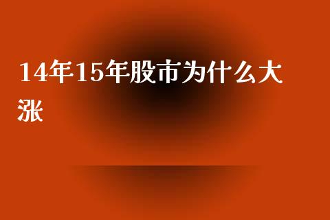 14年15年股市为什么大涨_https://wap.lxcailiao.com_融资担保_第1张