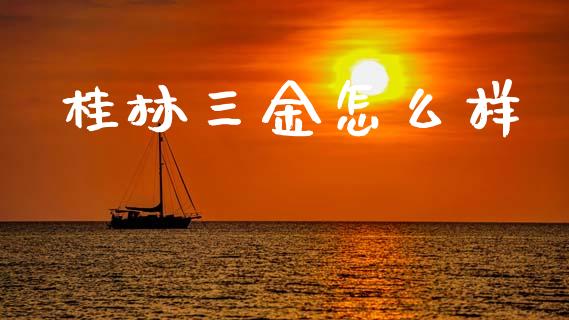 桂林三金怎么样_https://wap.lxcailiao.com_融资担保_第1张