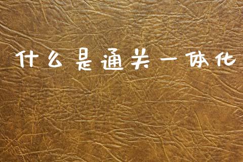 什么是通关一体化_https://wap.lxcailiao.com_财务管理_第1张