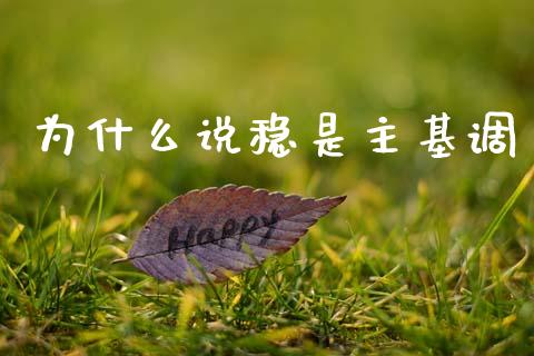 为什么说稳是主基调_https://wap.lxcailiao.com_财务管理_第1张