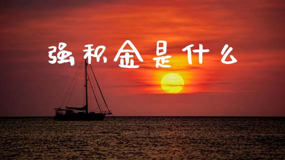 强积金是什么_https://wap.lxcailiao.com_金融监管_第1张