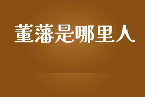 董藩是哪里人_https://wap.lxcailiao.com_金融监管_第1张
