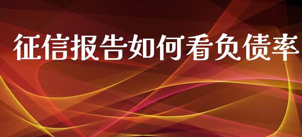 征信报告如何看负债率_https://wap.lxcailiao.com_融资担保_第1张
