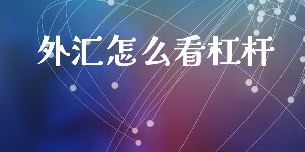 外汇怎么看杠杆_https://wap.lxcailiao.com_金融监管_第1张