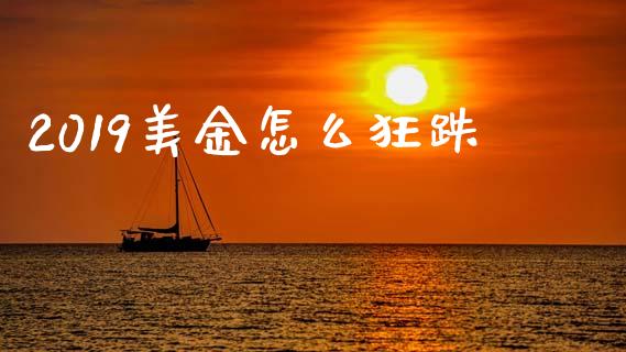2019美金怎么狂跌_https://wap.lxcailiao.com_股权投资_第1张