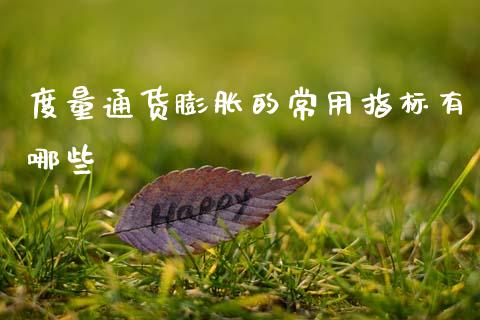 度量通货膨胀的常用指标有哪些_https://wap.lxcailiao.com_股权投资_第1张