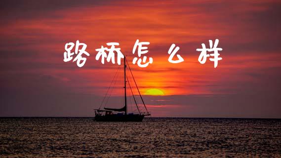 路桥怎么样_https://wap.lxcailiao.com_金融监管_第1张