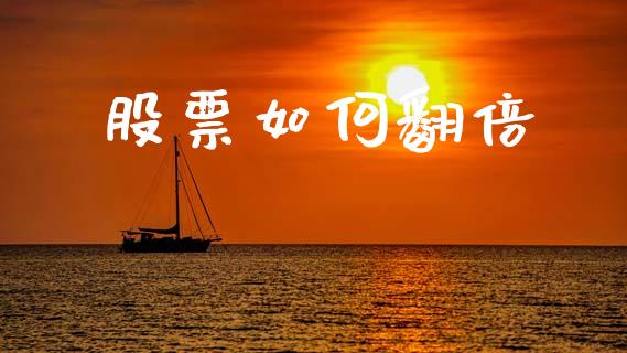 股票如何翻倍_https://wap.lxcailiao.com_股权投资_第1张