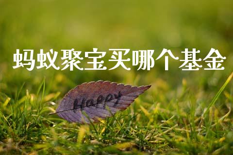 蚂蚁聚宝买哪个基金_https://wap.lxcailiao.com_股权投资_第1张